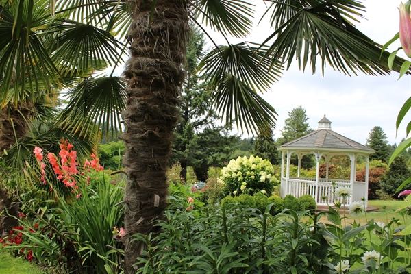 Yang's Botanical Gardens