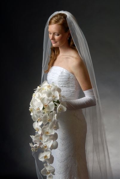 Kay Michael Photography & Video