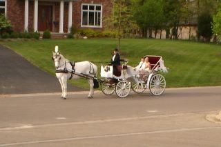 Ann Arbor Carriage