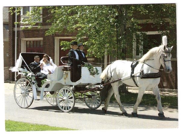 Ann Arbor Carriage