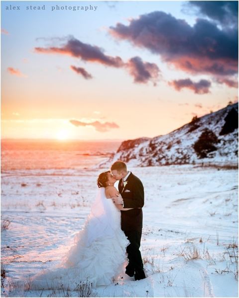 Alex Stead Photography