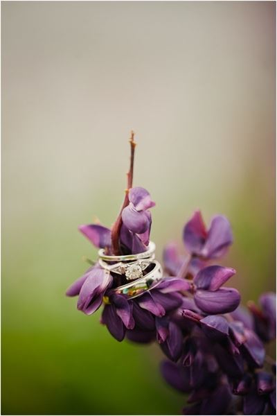 Alex Stead Photography