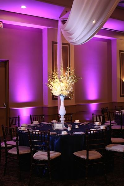 Orange Tree Golf Club & Resort