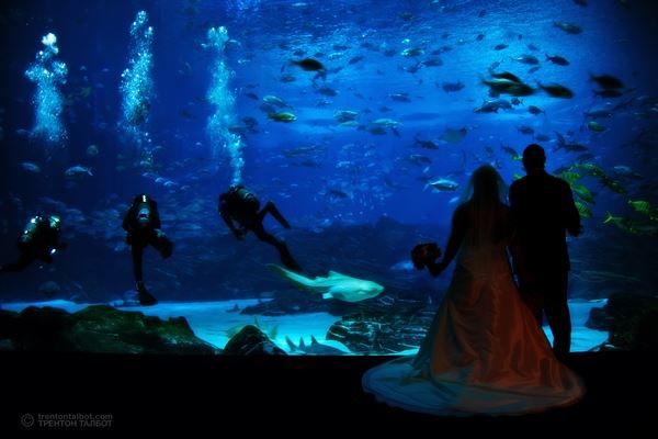 Trenton Talbot Photography