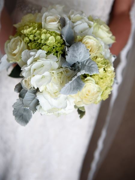 Lana Rowe Photography