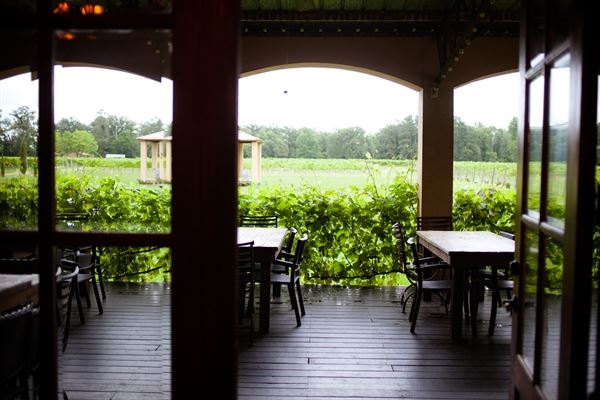 Los Pinos Ranch Vineyards