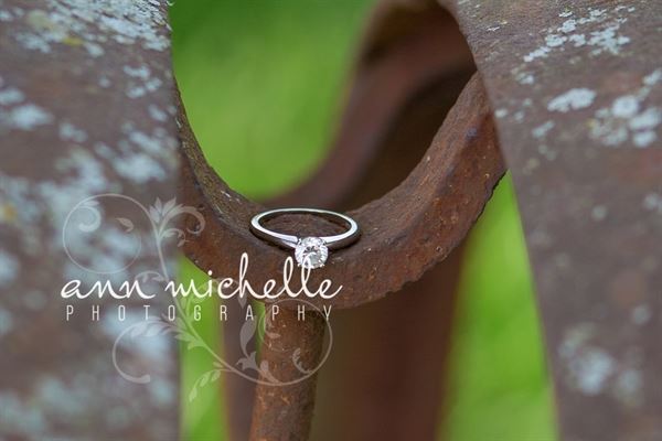 Ann Michelle Photography, LLC
