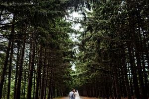 GreyHouseStudios - Stamford