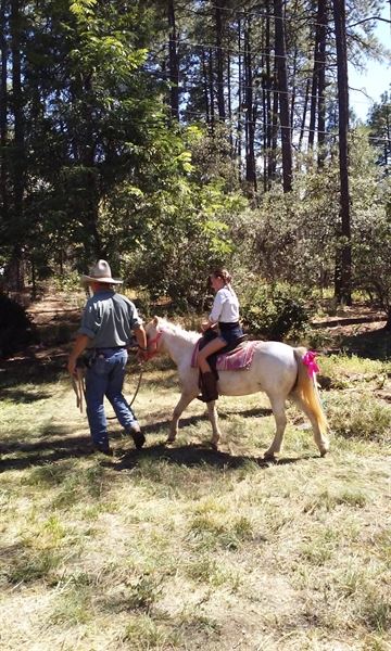 Itty-Bitty Pony Parties