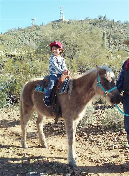 Itty-Bitty Pony Parties