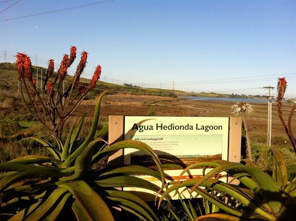 Agua Hedionda Lagoon Discovery Center