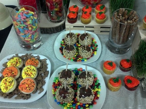 C.I.A. Entertainment