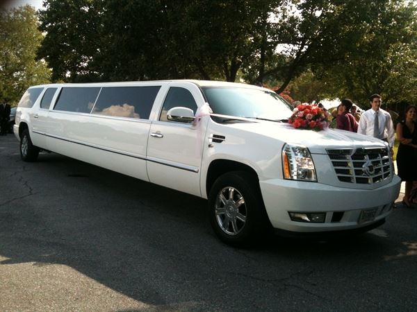 Presidential Limo Service llc