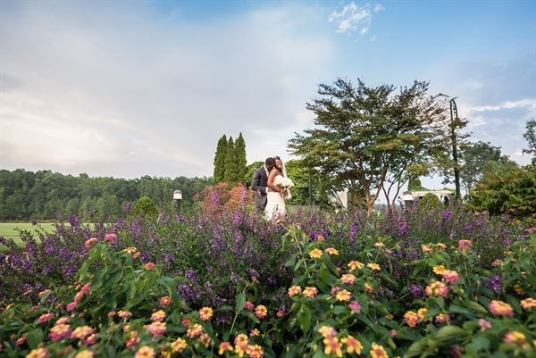 Silver Feather Studios