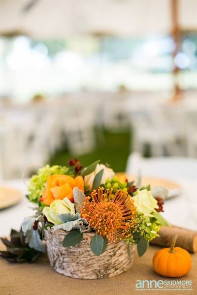 White Mountain Celebrations, Weddings Etcetera