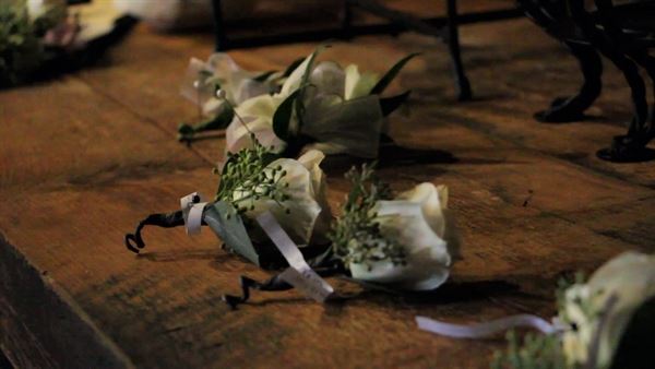 Bluebird Weddings & Events