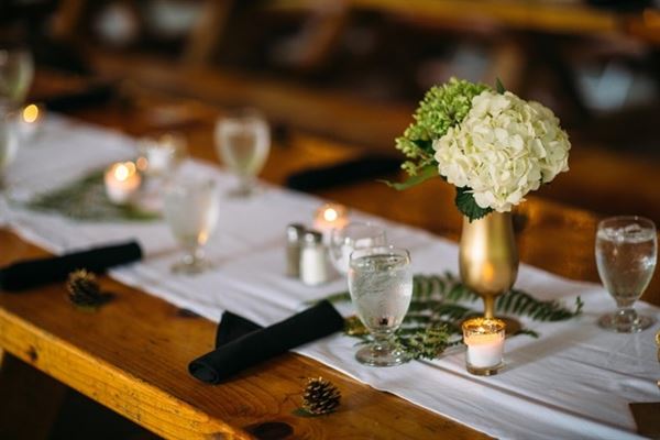 Northwest Trek Wildlife Park