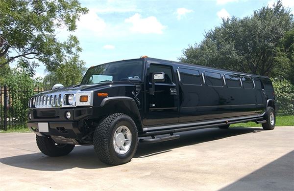 EarthTran Global Limousine and Transportation Service Inc.