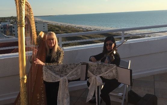 Laurie Vodnoy-Wright Violinist