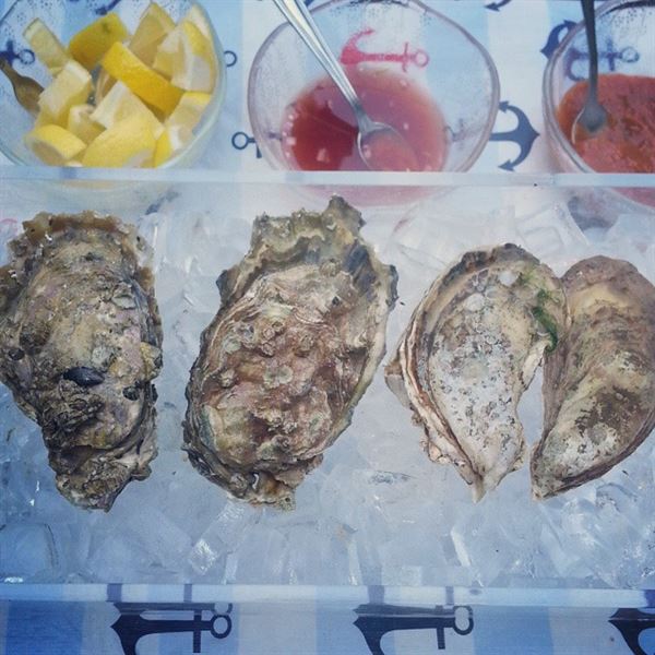 Island Oysters Seafood Catering