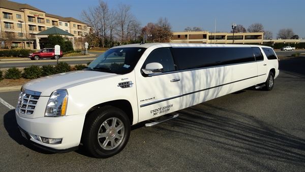 A1LIMO & TOURS LLC