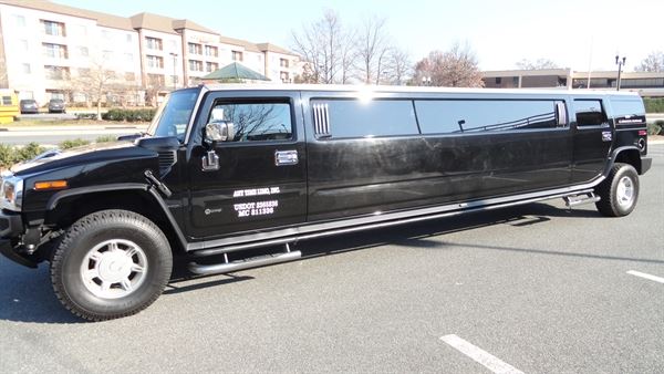 A1LIMO & TOURS LLC