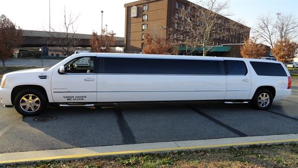 A1LIMO & TOURS LLC