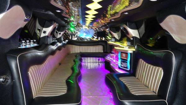 A1LIMO & TOURS LLC