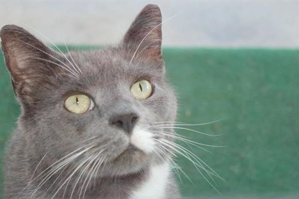 Memory Lane Photography