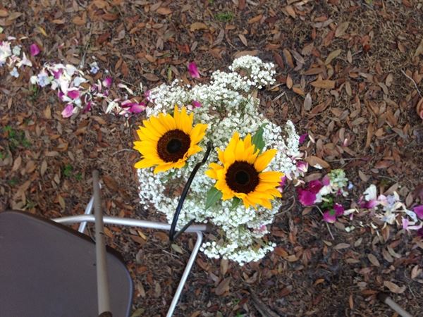 High Definition Events