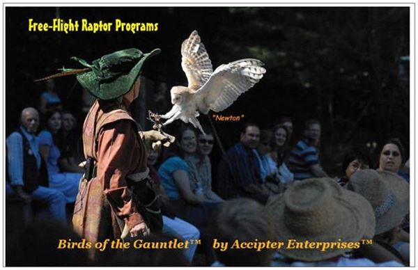 Birds of Prey by Accipiter Enterprises