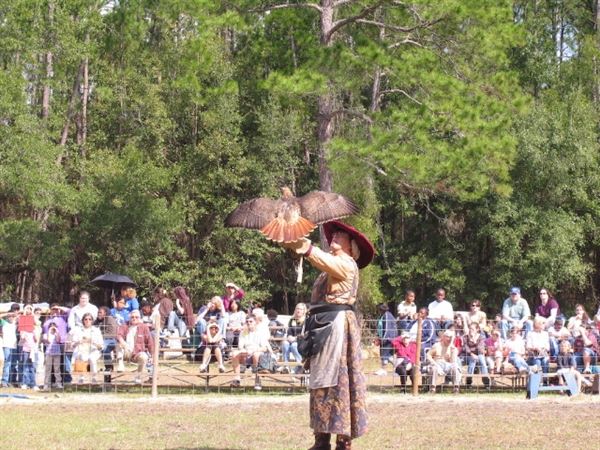 Birds of Prey by Accipiter Enterprises