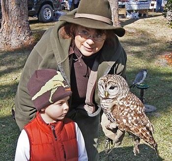 Birds of Prey by Accipiter Enterprises