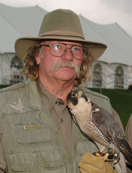 Birds of Prey by Accipiter Enterprises