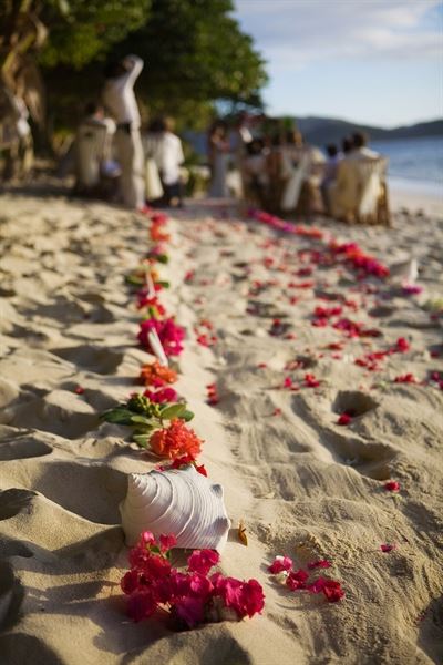 David Nicholas Photography and Video