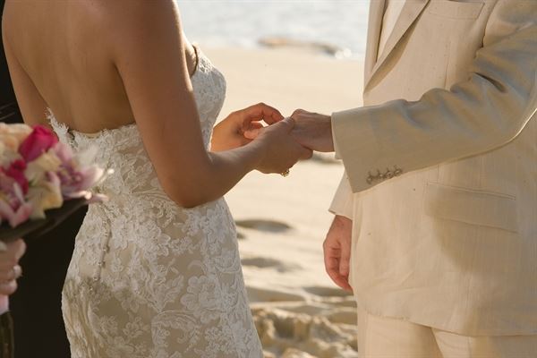 David Nicholas Photography and Video