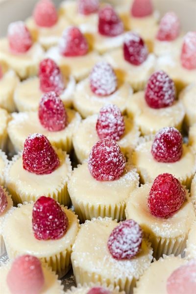 Sophisticated Delights