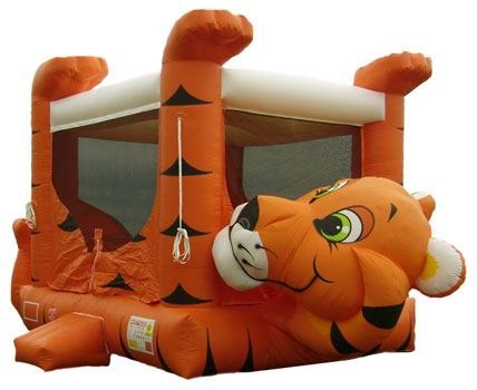 Adventure Mania Inflatable