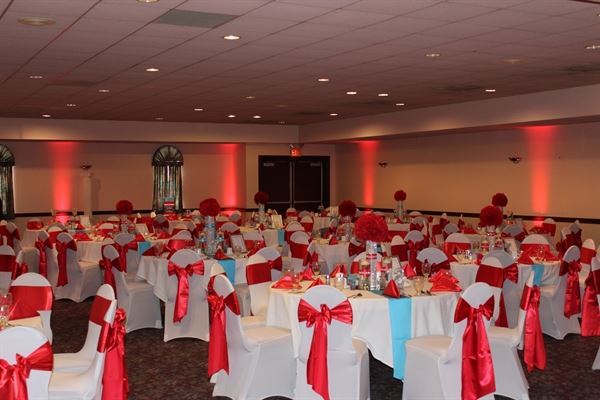 The Todd Everett Experience