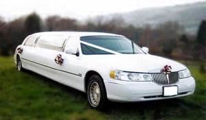 Limo Daniel