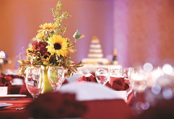 Cherokee Casino - Will Rogers Downs