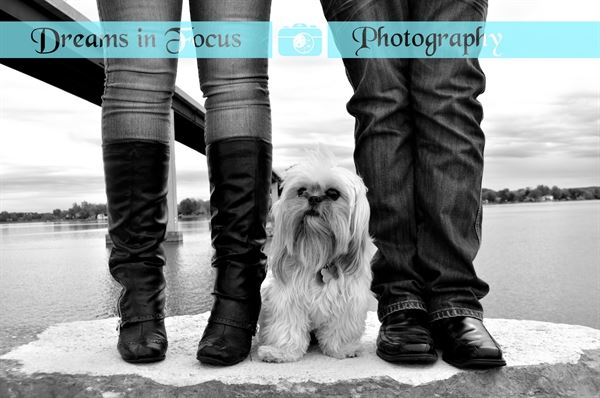 Dreams in Focus Photography