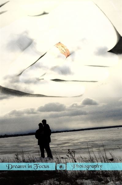 Dreams in Focus Photography