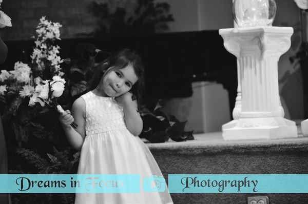 Dreams in Focus Photography