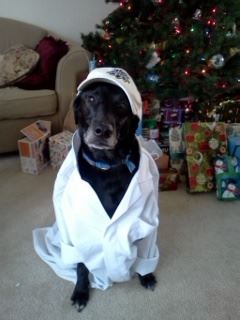 Mad Science of Greater Kansas City