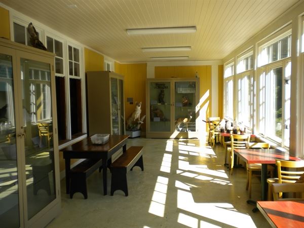 Cayuga Nature Center