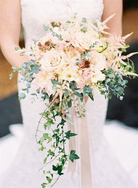 Cottrell Photography