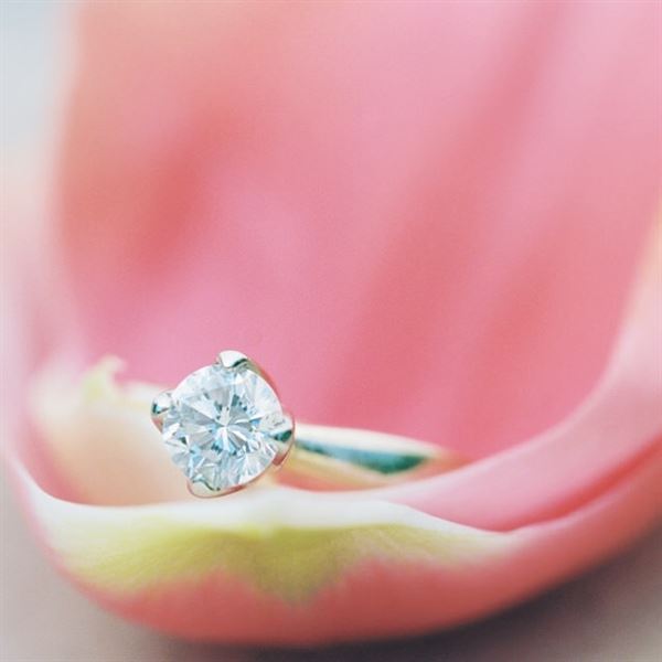 Cottrell Photography