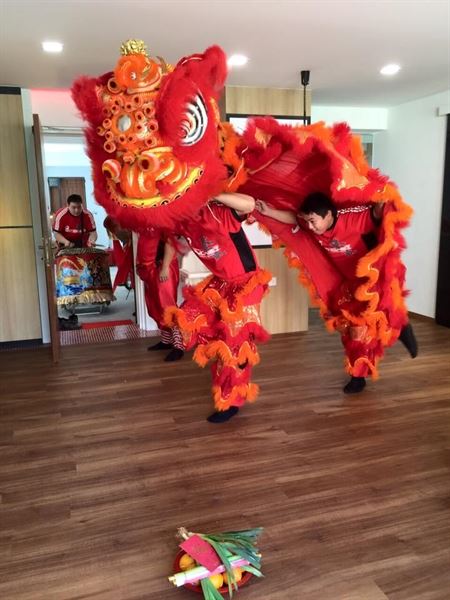 Ming De Lion Dance Cultural Troupe
