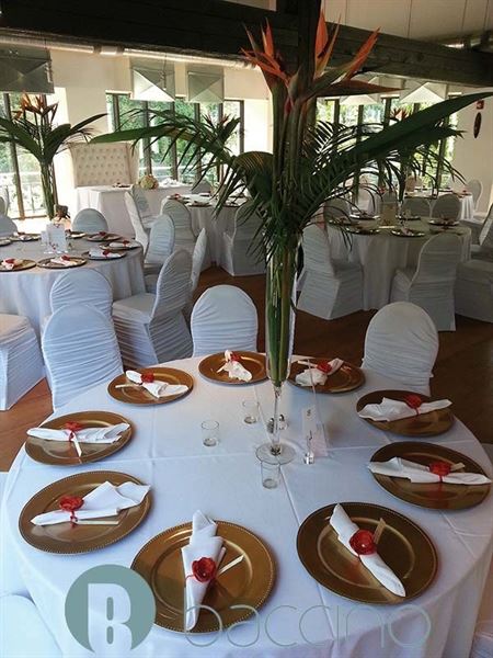 Baccino Events - Plannning & Day of Coordination